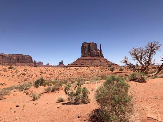 The Left Mitten Monument