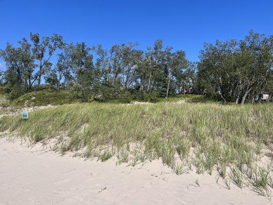 natural sand dunes