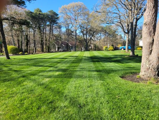 Keeping straight lines is a must on great mowing.