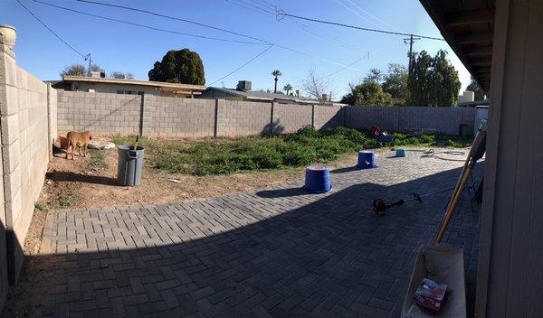 Full yard clean up