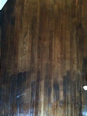 Flooring errors