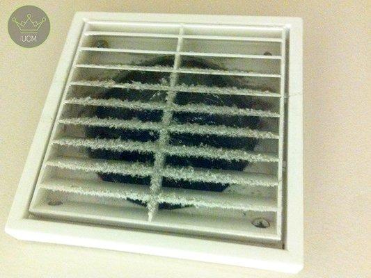 Air Duct Mold