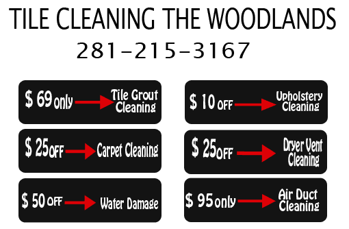 Tile Cleaning The Woodlands