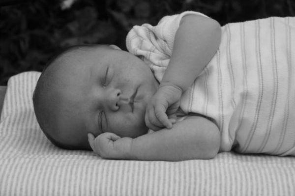 Newborn portraits