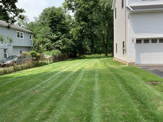 We graded and seeded, in 6 weeks you have a lawn.