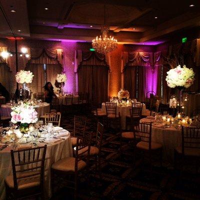 Purple LED Uplights & Pin Spots on the Centerpieces! It makes your Photographer's Life so much easier!!