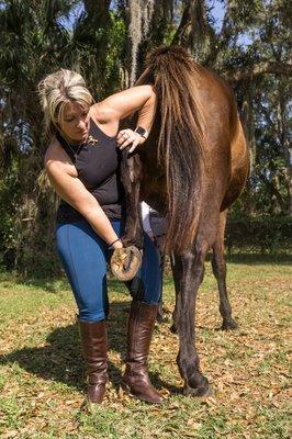 Extremity Adjusting our equine partners.