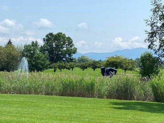 7/21 Meadmore & the Green Mtns