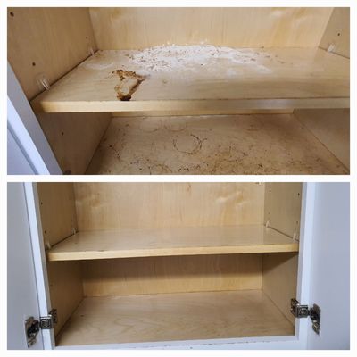 Before and after for a Move out