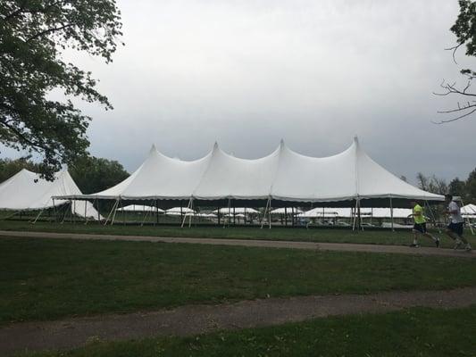 Tear down Race for the Cure