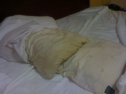 This is what the pillows look like.If you like bedbugs this is the place for you