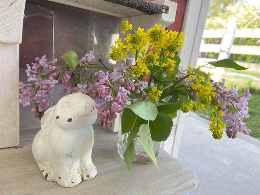 You are greeted by a tiny bunny upon your arrival...sometimes with flowers.