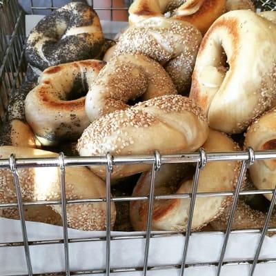 Sesame and poppyseed bagels.