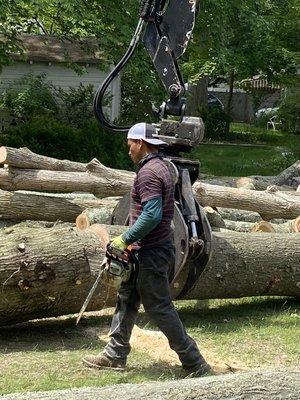 Getting wood ready for pick up in Ridgewood