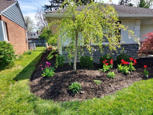 Landscape prep deweeding and edging