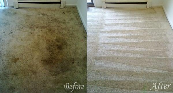 Before and After Carpet Cleaning Chicago IL