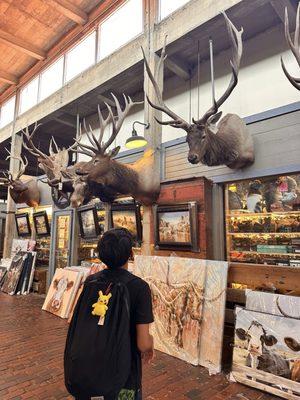 Stockyards Station