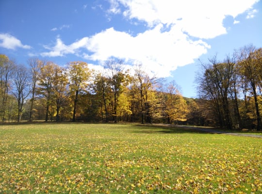 One of the bigger campsites with a huge field