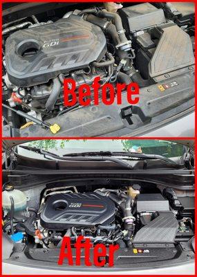 Engine Bay was in need of cleaning. We can add this service to any of the detail packages.