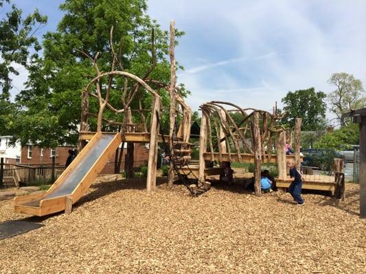 Evergreen School Tree House