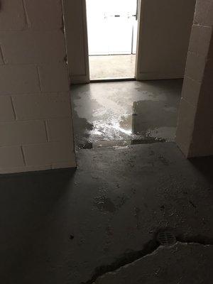 The basement "floods" every single time it rains