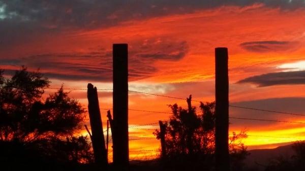 Fernley Sunsets!