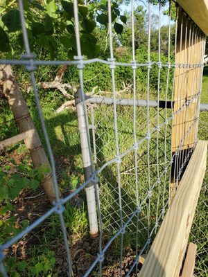 Texan Fence and Construction