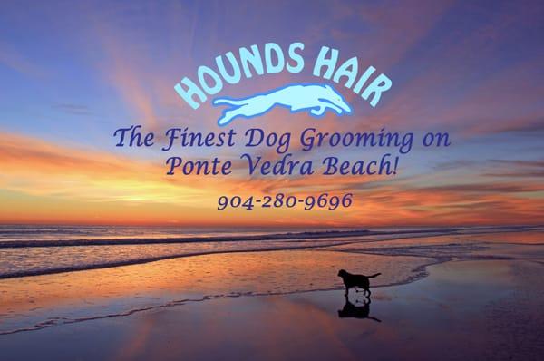 Call now to book your dog!