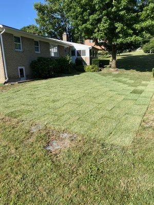 Fresh sod installed for new homeowners!!