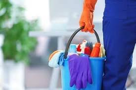 Peninsula Cleaning Services, INC