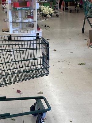 Debris flies in from outside and no one not even the manager care to clean.