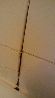 Cracked tiles in shower