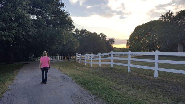 Salado Creek Riding Club - and boarding