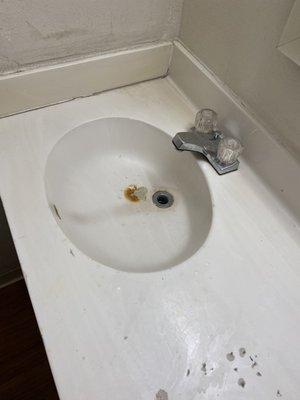 The bathroom sink