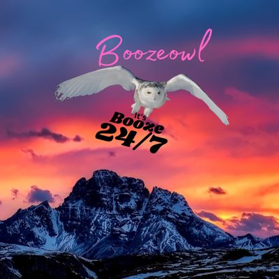 BoozeOwl Delivery