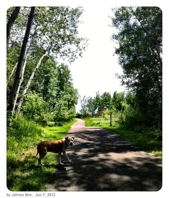 Auggie walk time.