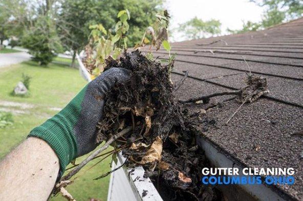 Heavy build up in rain gutters