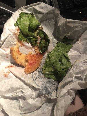 I am absolutely disgusted. This lettuce is rotten, and my burger was drowned in ketchup.