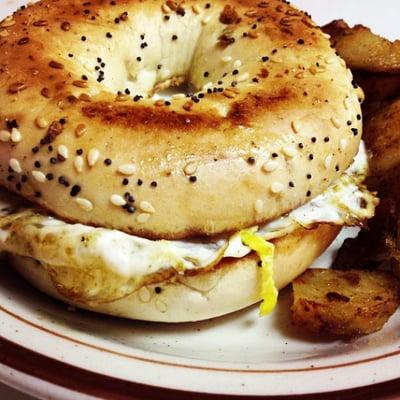 Everything bagel egg sandwich with a side of homefries! Yum!