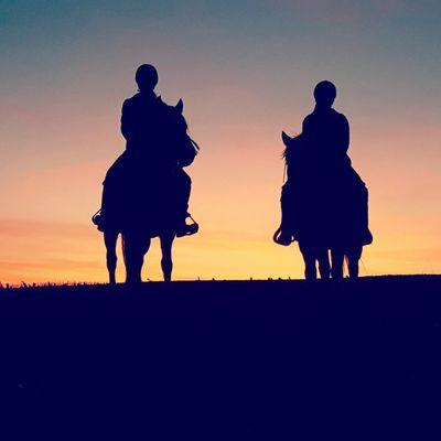 Couple of my girls at sunset .