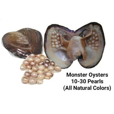 Monster Oyster (Freshwater Pearls)