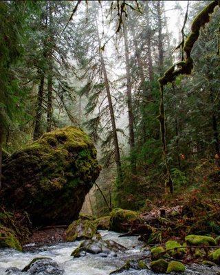 Toketee Campground