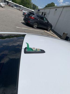 Missing antenna fin cover on top of my car