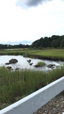 One of the few marshes along the path