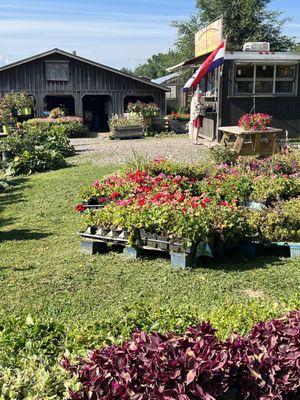 The Donut Shack at Frog Pond Farm