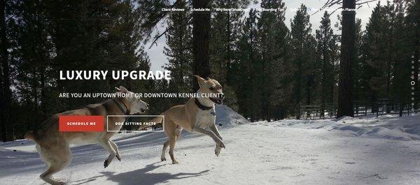 RenoTahoeDogs.com provides professional In Home Boarding and Walks (Fitness Adventures) for medium to large dogs (20 pounds +)