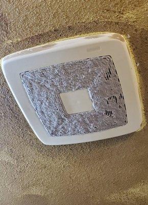 Air vent in the ladies restroom caked with dust.