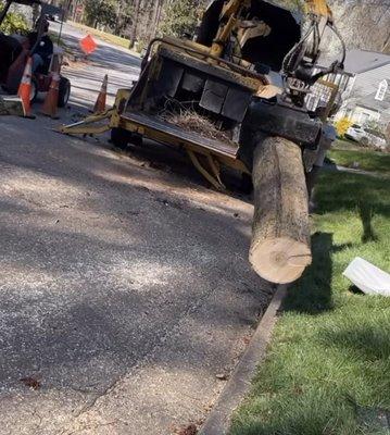 Chipping large tree trunk