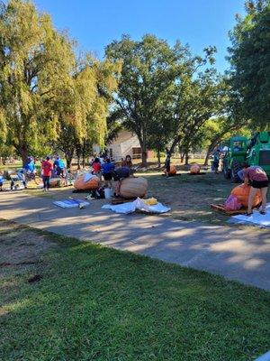 Contestants carving their pumpkin boats for the regatta