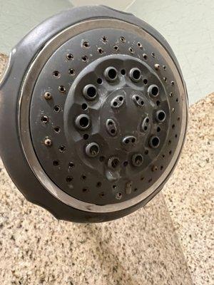 Nasty Showerhead